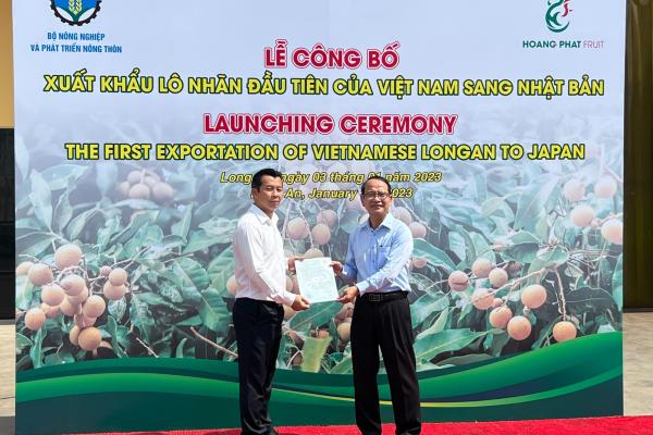 Hoang Phat Fruit exports first batch of fresh longan to Japanese market